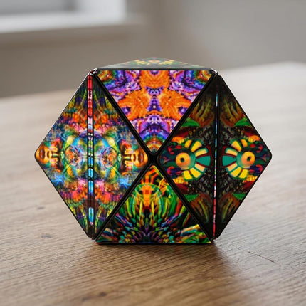 SHASHIBO Shape Shifting Box - Award-Winning, Patented Fidget Cube w/ 36 Rare Earth Magnets - Transforms Into Over 100 Shapes, Download Fun in Motion Toys Mobile App (Artist Series - The Chameleon)