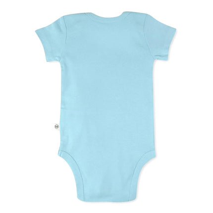 Honestbaby 10-Pack Short Sleeve Bodysuits One-Piece 100% Organic Cotton for Infant Baby Boys, Girls, Unisex, Rainbow Blues, 12 Months