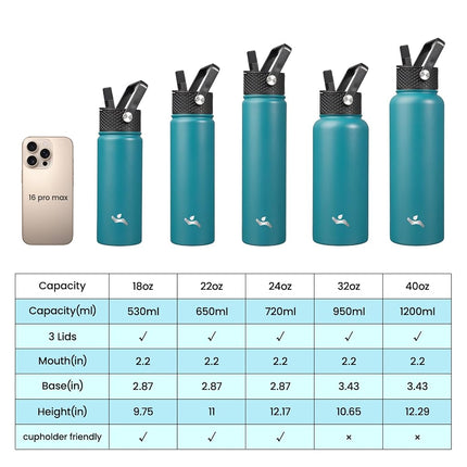 Konokyo Insulated Water Bottle with Straw,24oz 3 Lids Metal Bottles Stainless Steel Water Flask,Light Blue