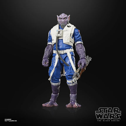 SW BL Deluxe Figure 2