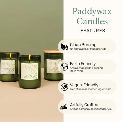 Paddywax Glass Eco Green Thyme and Olive Leaf Candle, Green