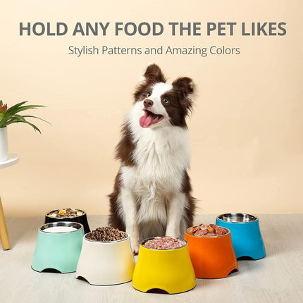 yoken Sturdy Elevated Dog Bowls 2 Packs, [Prevention of Vertebrae Disease] [2X Non-Slip] Dog Food Bowls with Stainless Steel Bowl, High Capacity Water Bowl Colorful Raised Bowl for Medium Small Dogs