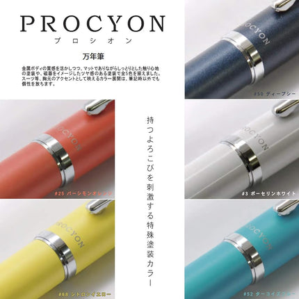 Procyon Fountain Pen - Porcelain White #3 M - Medium Stainless Steel Nib