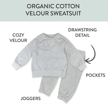 HonestBaby Baby 2-Piece Cozy Velour 100% Organic Cotton Sweatshirt and Jogger Sweatpants Set, Light Gray Heather, 24 Months