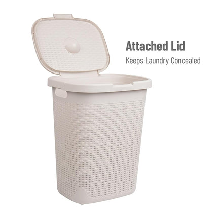 Mind Reader Lid, Wicker Design, Plastic, 17.65" L x 13.75" W x 21" H, Ivory 50 Liter Hamper, Single