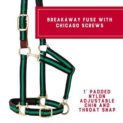 Weaver Leather 35-6065-GR Padded Breakaway Adjustable Chin & Throat Snap Halter, 1" Average Horse or Yearling Draft, Green Striped