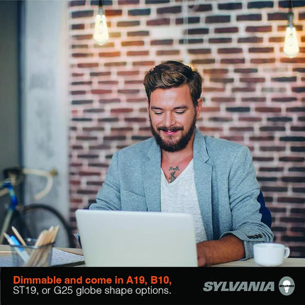 SYLVANIA ST19 Clear LED White Filament Bulb, 13W, Dimmable, 1500 LMS, Medium Base, 5000K, Daylight - 2 Pack (42251)