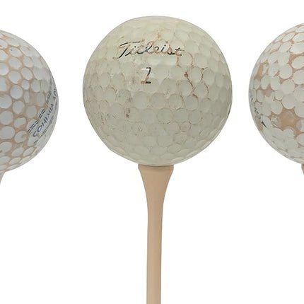 Titleist Pro V1X Practice Quality Golf Ball (Pack of 50)
