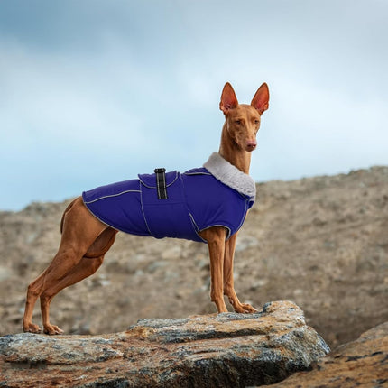 Lelepet Warm Dog Coats for Large Dogs Waterproof Dog Jacket Reflective Pet Fleece Vest Windproof Cold Weather Coats with Adjustable Buckle & Leash Hole, Black, L