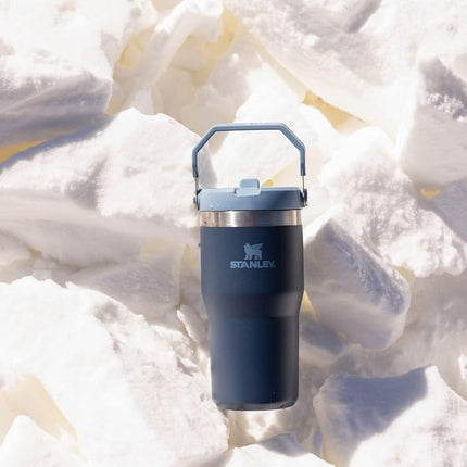 Stanley IceFlow 2.0 Flip Straw Tumbler with Handle 20 oz | Twist On Lid and Flip Up Straw | Leak Resistant Water Bottle | Insulated Stainless Steel | BPA-Free | Ash