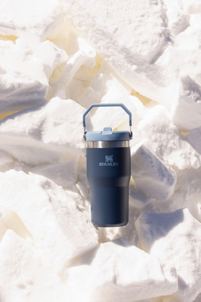 Gobelet Stanley IceFlow 2.0 Flip Straw avec poignée 20 oz | Couvercle à visser et paille rabattable | Bouteille d'eau étanche | Acier inoxydable isolé | Sans BPA | Ash