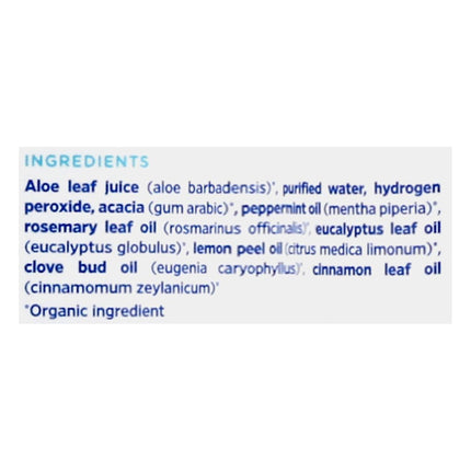 Toothpaste/Mouthwash Brushing Rinse (Peppermint) - 473mL