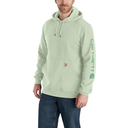 Carhartt Men's Loose Fit Midweight Logo Sleeve Graphic Sweatshirt Hooded Sweatshirt, Delicate Greens, XS