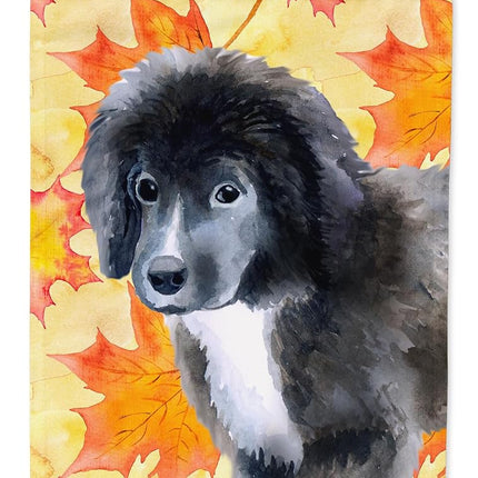 Caroline's Treasures BB9960GF Newfoundland Puppy Fall Flag Garden Size, Yellow, Garden Size, multicolor