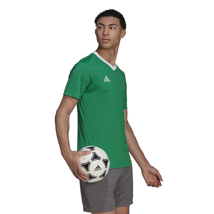 adidas Men's Entrada 22 Jersey, Team Green/White, XXL