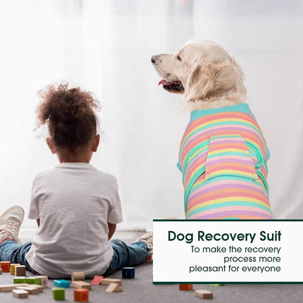 Kuoser Recovery Suit for Dogs Cats, Soft Dog Surgery Suit Female Male Spay