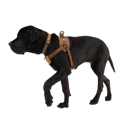 Carhartt Nylon Duck Training Dog Harness, Carhartt Brown, Small, Neck Base : 18" - 21" | Chest Girth 17" - 22"