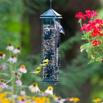 Squirrel Solution200 Squirrel-Proof Bird Feeder w/6 Feeding Ports, 3.4-Pound Seed Capacity, Free Seed Funnel