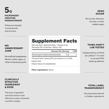 LEGION Micronized Creatine Monohydrate Supplement - Clean Creatine Powder for Muscle Gain & Post Workout Recovery - Micronized Creatine Supplement for Maximum Absorption (100 Servings, Unflavored)