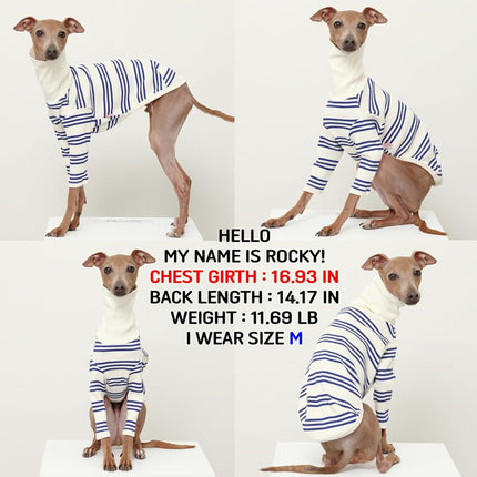 D Doggy Star Italian Greyhound Clothes Flexible T Shirts Whippet for Dogs (XL,Cobalt Stripe)