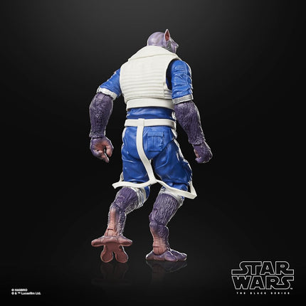 SW BL Deluxe Figure 2