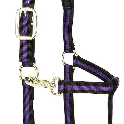 Weaver Leather 1" Small Horse/Weanling Draft Padded Chin & Throat Snap Halter, Purple, Adjustable