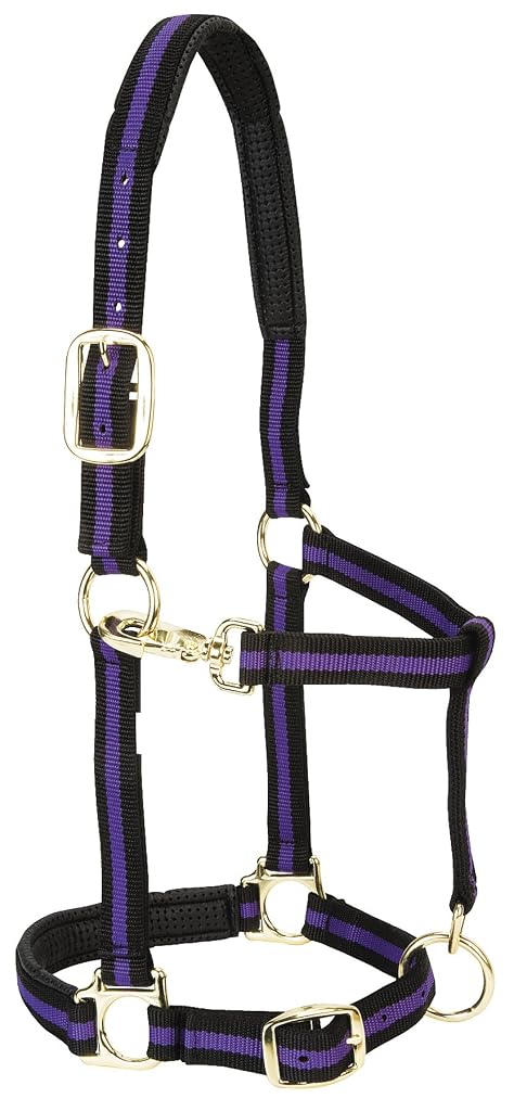 Weaver Leather 1" Small Horse/Weanling Draft Padded Chin & Throat Snap Halter, Purple, Adjustable