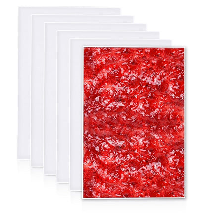 6 Pcs Silicone Dehydrator Trays with Edge, 10.6 x 