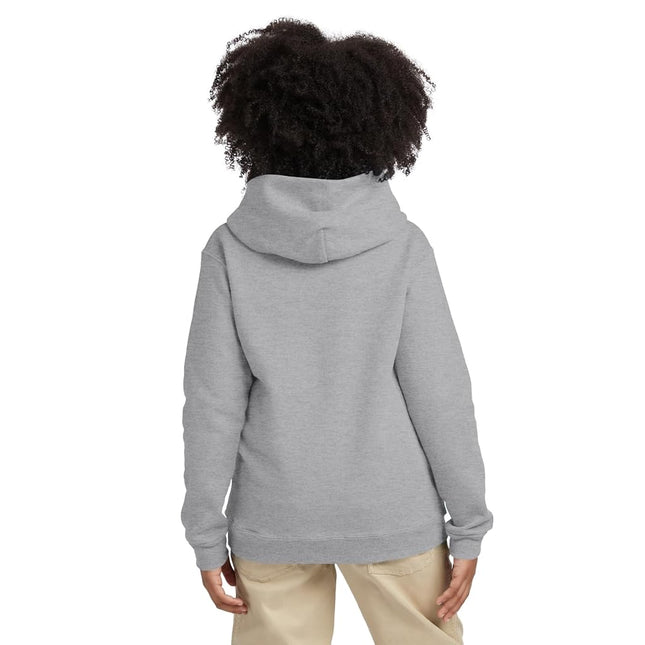 Hanes Boys' Eco Smart Pullover Hoodie, Light Steel, Large