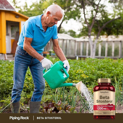 Piping Rock Beta Sitosterol | 1200 mg (per Serving) | 180 Quick Release Capsules | Non-GMO, Gluten Free