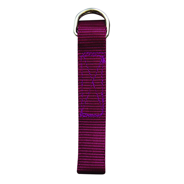 Champro Poly Pro Web Belt