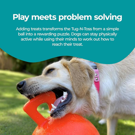 Jolly Pets Tug-n-Toss Dog Toy, 25 cm, Orange