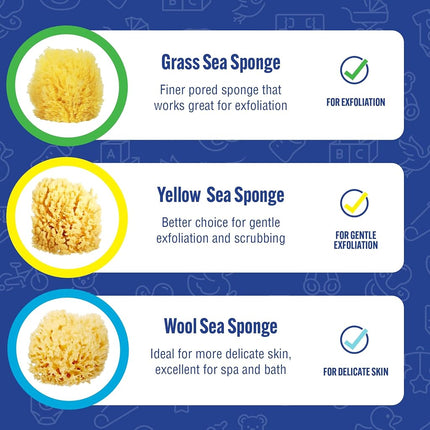 Baby Buddy Natural Yellow Sea Sponge, Newborn Bath Time Essential, Soft and Gentle for Tender Skin, Hypoallergenic and Biodegradable, 1 Pack