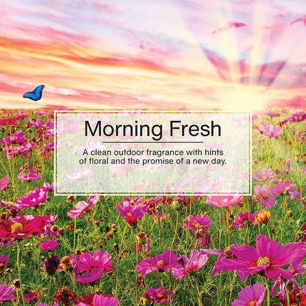 Little Trees Air Freshener 6-Pak, Morning Fresh (U6P60228)