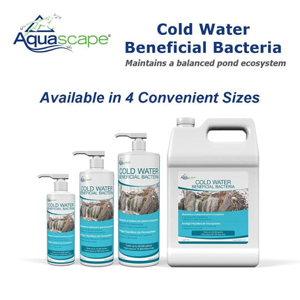 Aquascape 98892 Cold Water Beneficial Bacteria for Pond and Water Features, 8-Ounce