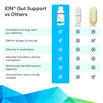 ION Gut Health Supplement 236ml – Digestive Wellness