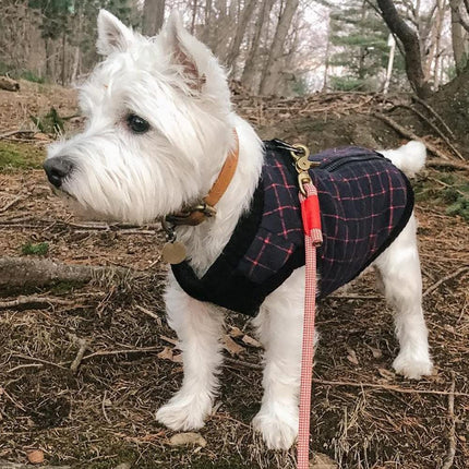 Gooby Fashion Vest Check, Navy, Medium
