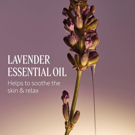 L'Occitane Shea Butter Le Savon Lavande Liquid Hand Soap Refill 500ml