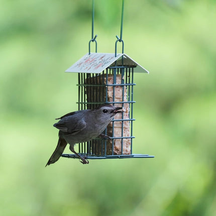 Wild Wings Decorative Metal Suet Cage Feeder for Outdoor Décor Wild Bird Feeders, 1 Suet Cake Capacity, Hanging Suet Feeder, Black
