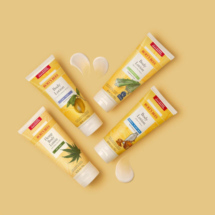 Burt's Bees Milk and Honey Body Lotion, 6 Ounces (Pack of 3)