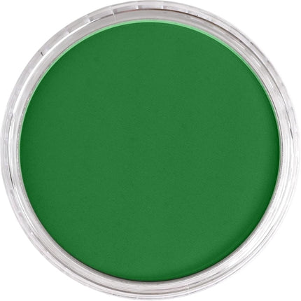 PanPastel Ultra Soft Artist Pastel 9Ml-Permanent Green Shade