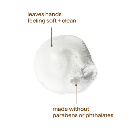 Method Foaming Hand Soap, Lemon Mint, 10 Ounce (Pack 6)