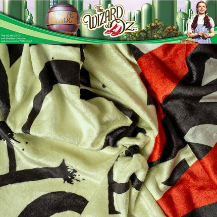 Franco Collectibles The Wizard of Oz Bedding Super Soft Micro Raschel Throw, 46 in x 60 in, (Officially Licensed Product)
