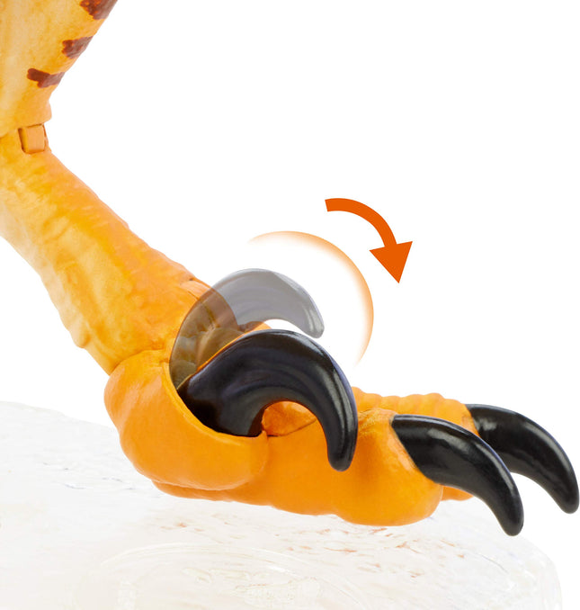 Jurassic World Amber Collection Velociraptor Tigre Figura de Acción de Dinosaurio de 6 Pulgadas, Detalles Auténticos de la Película, Articulaciones Móviles y Base de Exhibición, Regalo Coleccionable para Niños de 8 Años en Adelante