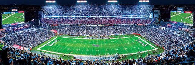 MasterPieces 1000 Piece Sports Jigsaw Puzzle - NFL Tennessee Titans Center View Panoramic - 13"x39"