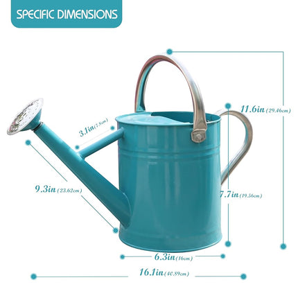 SunnyTong Metal Watering Can for Outdoor and Indoor Plants, Watering Can Decor, 1 Gallon (Leaf-Green)