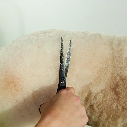 Andis Straight Shears, Right-Handed, Professional Dog and Cat Grooming
