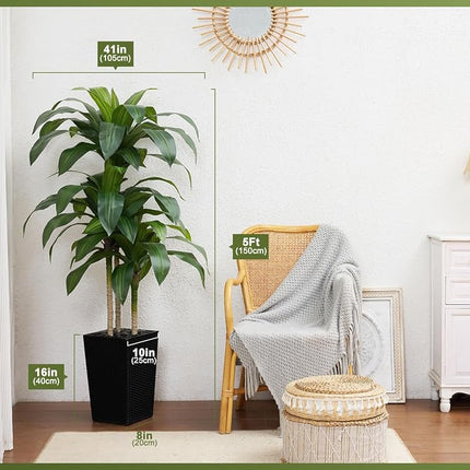VeriNatural 5FT Artificial Dracaena Tree - UV Resistant Faux Tropical Plant, Potted Fake Tree with Taper Planter & Pebbles - Indoor Outdoor Greenery for Home, Porch, Living Room, Bedroom Decor, VN127
