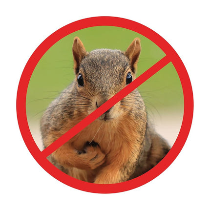 Just Play Scram, Squirrel de Slinky, accesorio para comedero a prueba de ardillas que protege las semillas de los pájaros, juguetes para niños a partir de 5 años de Just Play