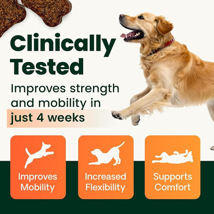 VetriScience Laboratories - GlycoFlex Plus, Hip and Joint for Dogs, 120 Chewable Tablets